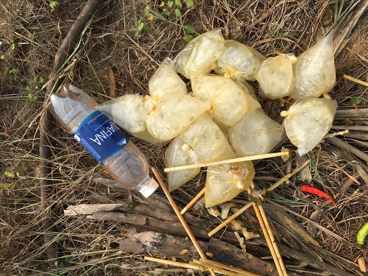 Young Danang men respond to litter challenge - 2 Young Danang men respond to litter challenge - 2