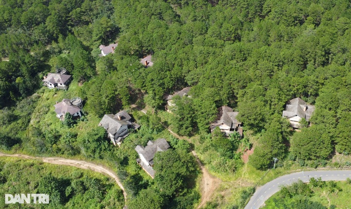 Villas left abandoned in Da Lat pine forest - 1