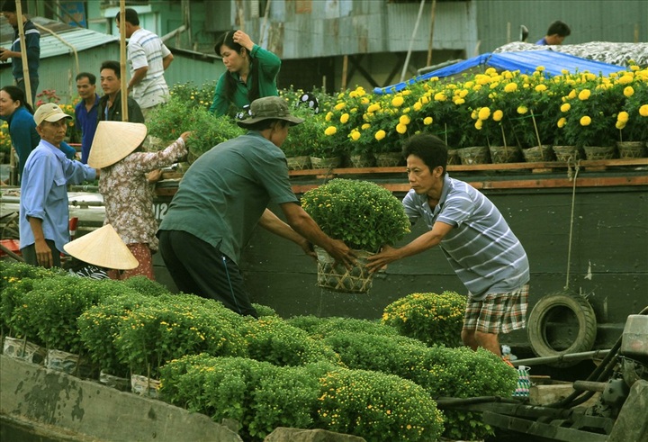 Cai Rang floating market busy before Tet - 6