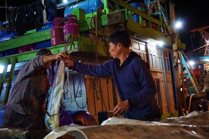 Busy night at central Vietnam’s largest fish port - 3