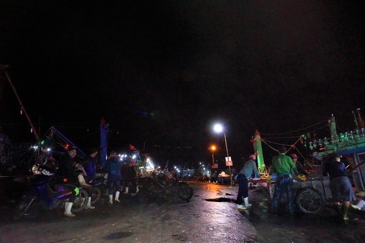 Busy night at central Vietnam’s largest fish port - 5
