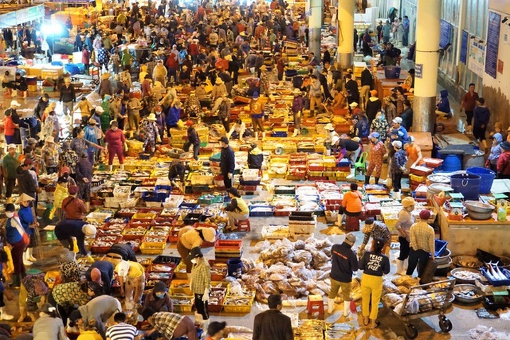 Busy night at central Vietnam’s largest fish port - 7
