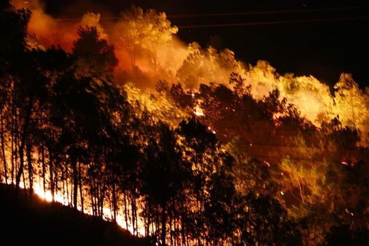 Forest fires continue to affect central region - 2