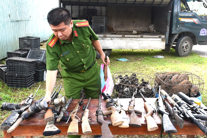 Man in Quang Nam fined for illegal weapons - 1