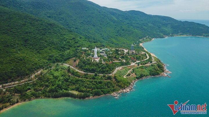 Son Tra Peninsula blooms - 1