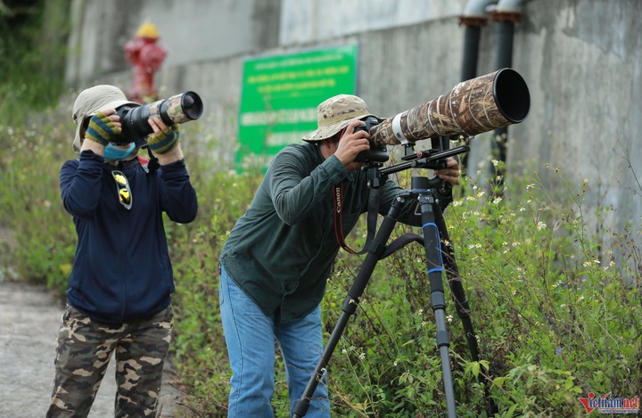 Son Tra Peninsula blooms - 10