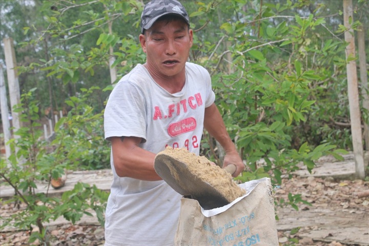 People in Quang Nam make cellars to avoid Storm Molave - 4