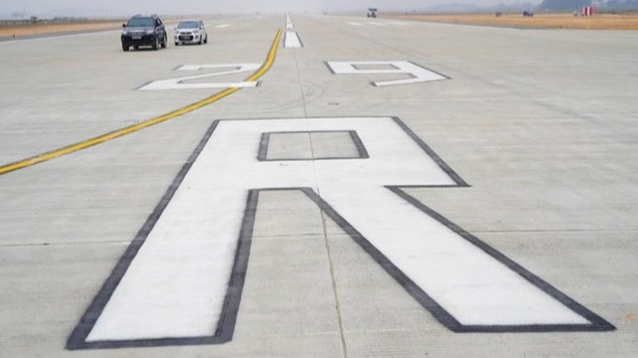 Monkey found at Noi Bai International Airport - 1