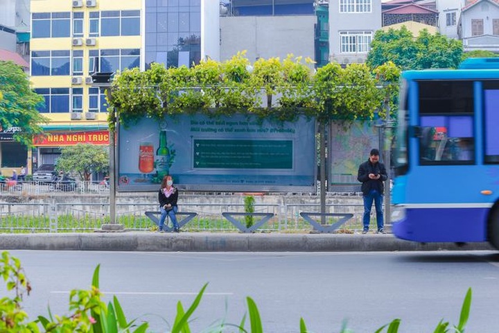 Hanoi bus stops go green - 1