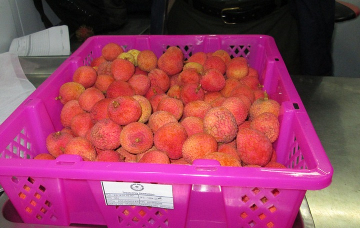 Japan to become a new market for Vietnamese litchi - 1