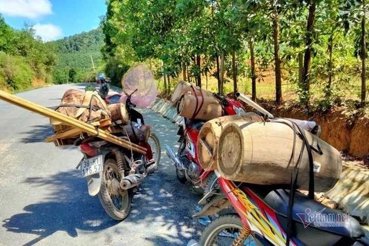Bee colony collecting season in Ha Tinh - 6