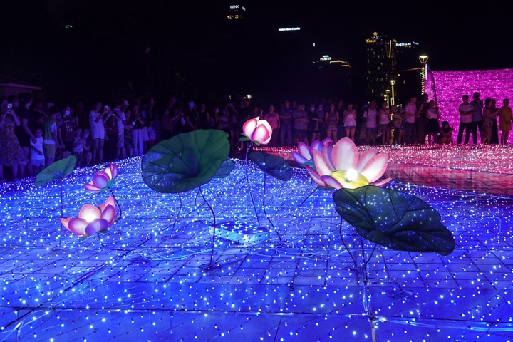 Danang park decorated to celebrate Japan relations - 2