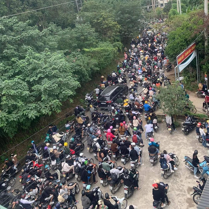 People flock to Ba Vi in wild sunflower season - 1
