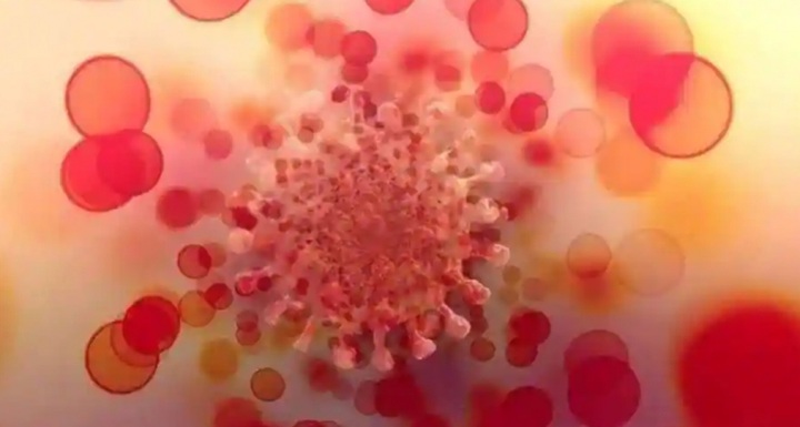 Omicron sub-variants BA.4 & BA.5 yet to be detected in Vietnam - 1