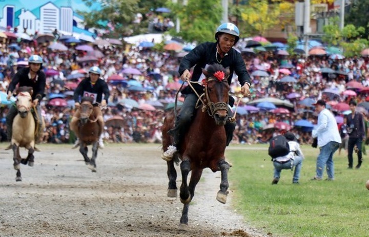 Reviving horse racing tradition in Lao Cai’s Bac Ha - 1