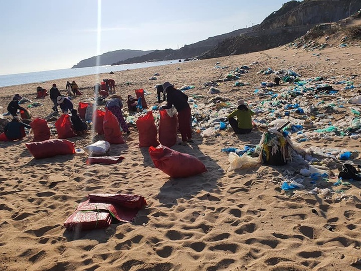 More than 100 people join hands to clean Ninh Thuan's polluted beach - 5 More than 100 people join hands to clean Ninh Thuan's polluted beach - 5
