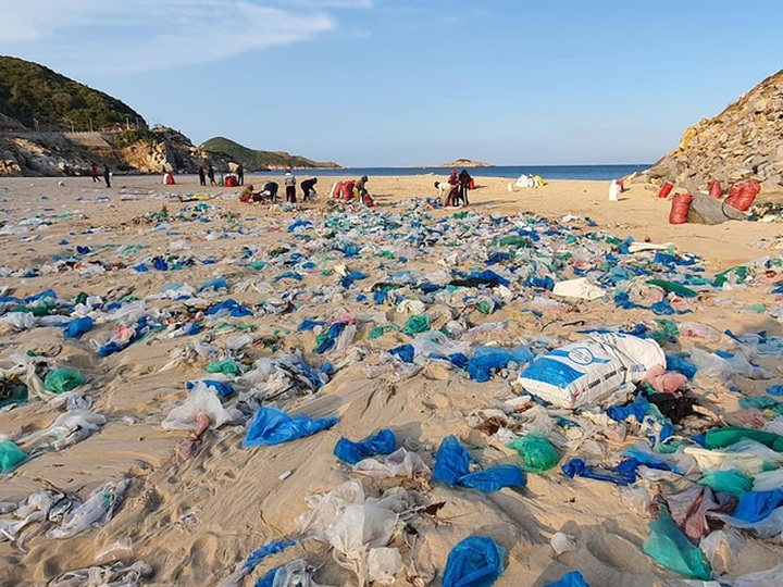 More than 100 people join hands to clean Ninh Thuan's polluted beach - 2 More than 100 people join hands to clean Ninh Thuan's polluted beach - 2