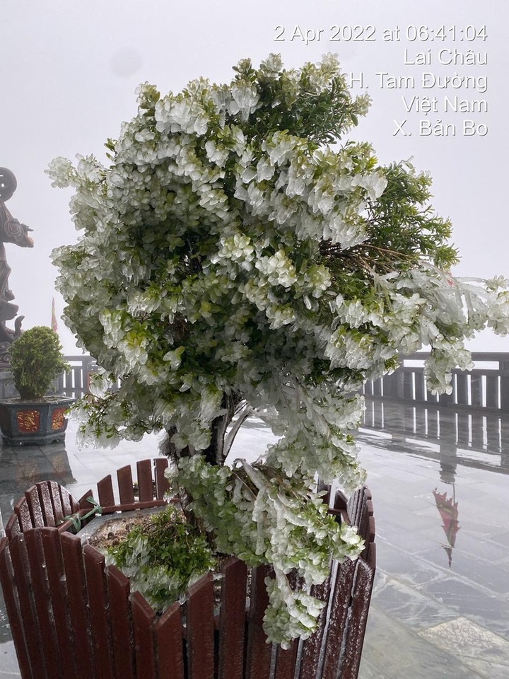 Frost appears on Fansipan Mountain - 3