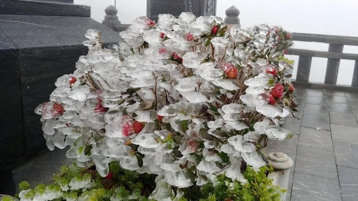 Frost appears on Fansipan Mountain - 2
