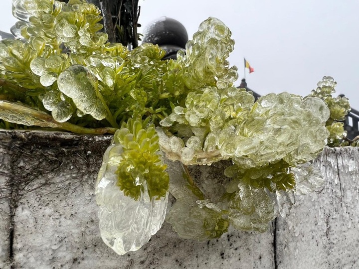 Frost appears on Fansipan Mountain - 5