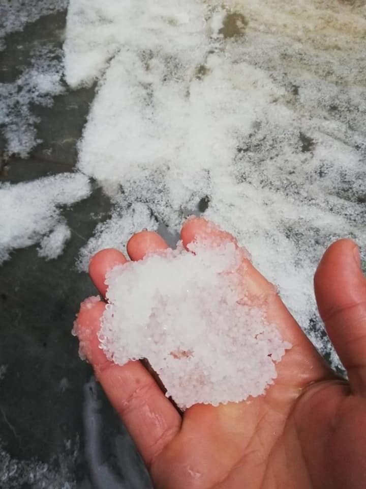 Frost blankets Mount Fansipan - 7 Frost blankets Mount Fansipan - 7