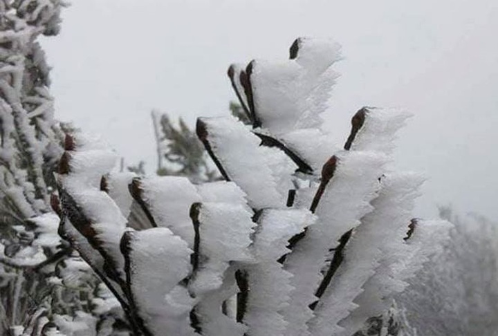 Frost forecasted for northern mountainous areas this weekend - 1
