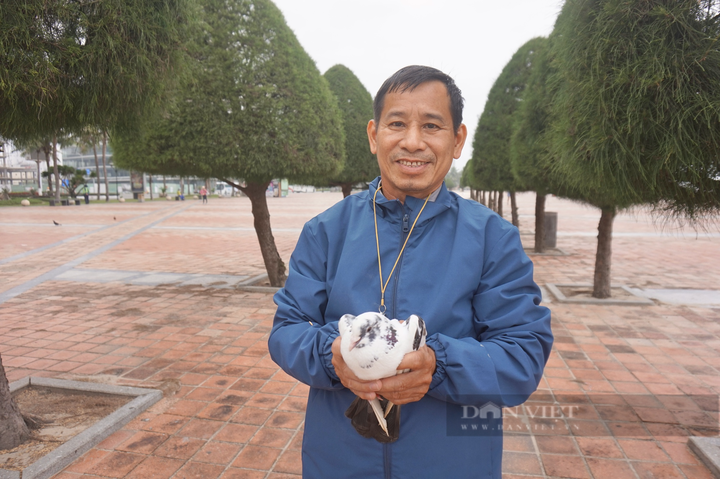 Danang man spends over decade caring for 1,000 pigeons - 3