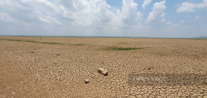 Southern reservoir dries out due to hot weather - 1