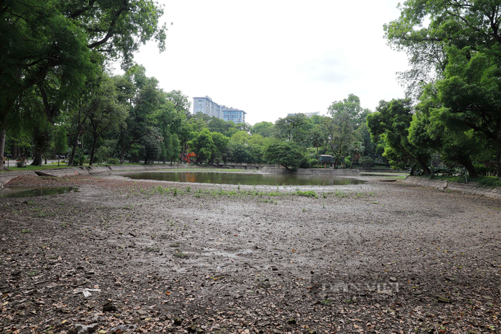 Lake at Hanoi Botanical Gardens dries up - 1