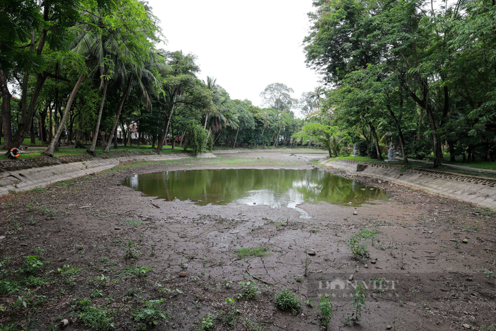 Lake at Hanoi Botanical Gardens dries up - 3
