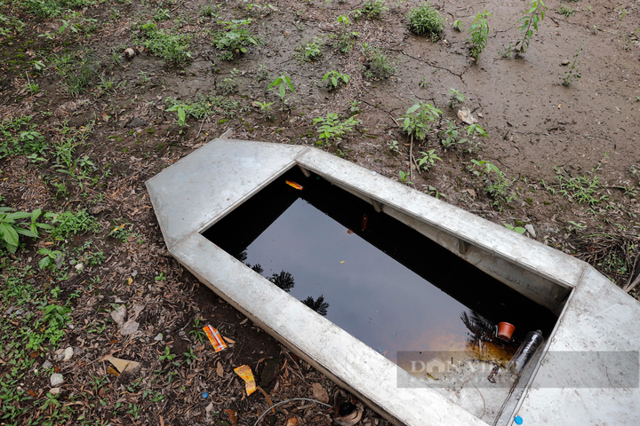 Lake at Hanoi Botanical Gardens dries up - 2