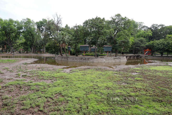 Lake at Hanoi Botanical Gardens dries up - 7