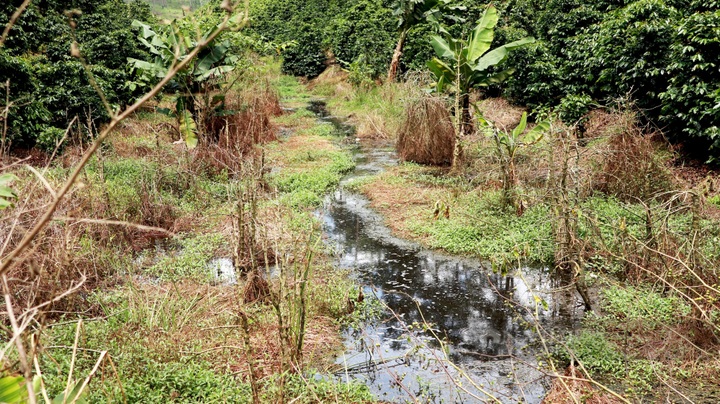 Dalat waste treatment plant accused of causing pollution - 2