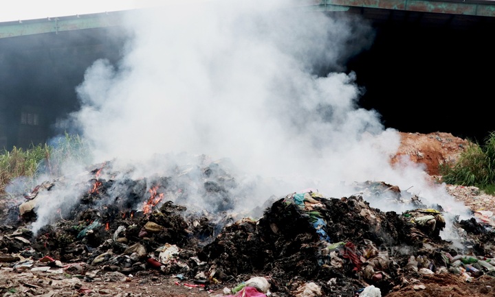 Dalat waste treatment plant accused of causing pollution - 4