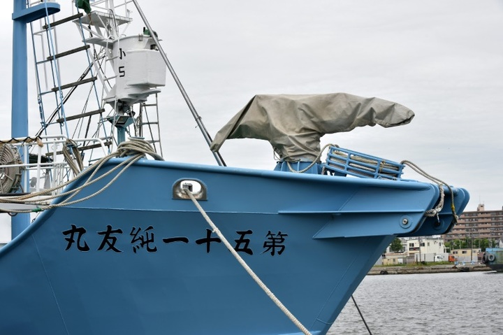 Whaling ships set sail as Japan resumes commercial hunts - 1