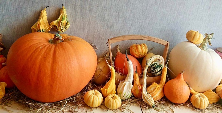 Halloween toys sell well in HCM City - 6