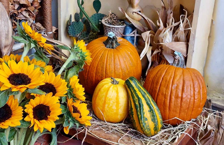 Halloween toys sell well in HCM City - 3