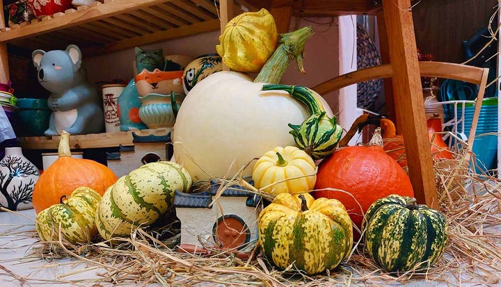 Halloween toys sell well in HCM City - 4