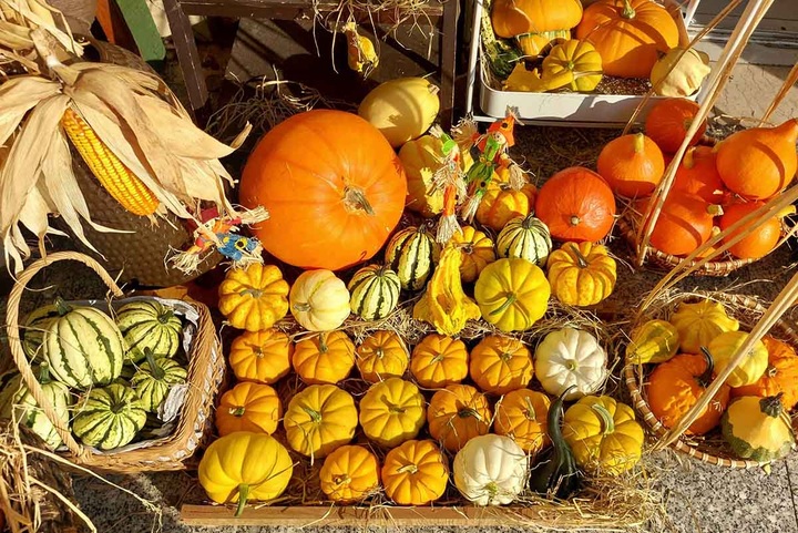 Halloween toys sell well in HCM City - 2