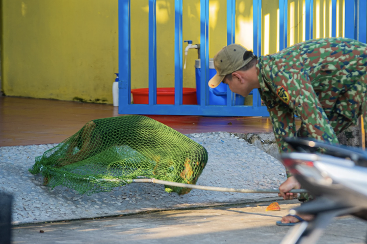 More stray dog-catching teams set up in HCM City - 1