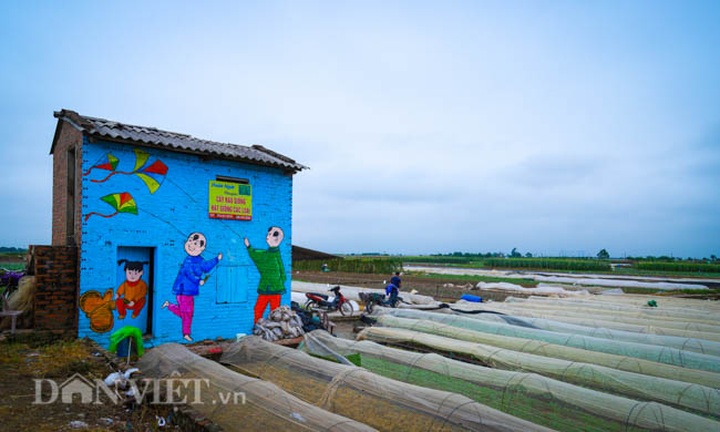 Mural project brightens Hanoi suburban village - 9