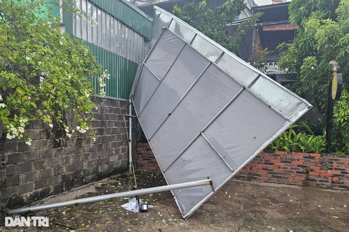 Trees uprooted as Storm Prapiroon sweeps through Quang Ninh - 5