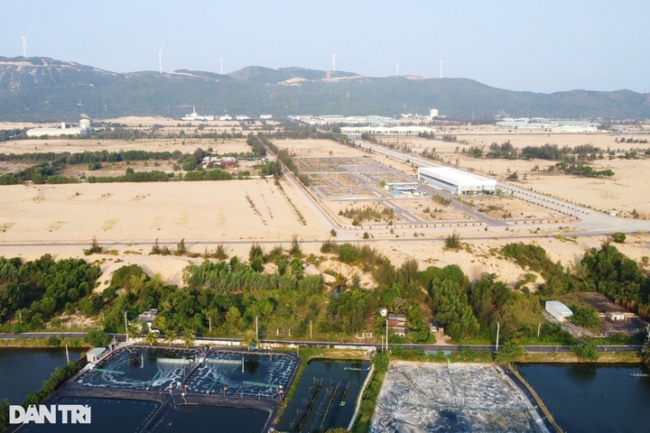 Chinese CEO banned from leaving Vietnam for overdue tax debts - 1