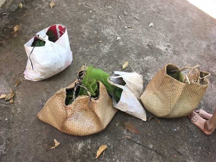 Binh Phuoc seizes rare civets transported from Cambodia - 1 Binh Phuoc seizes rare civets transported from Cambodia - 1