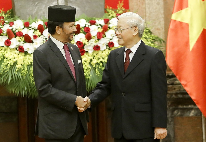 Vietnam, Brunei lift up bilateral ties to comprehensive partnership - 1
