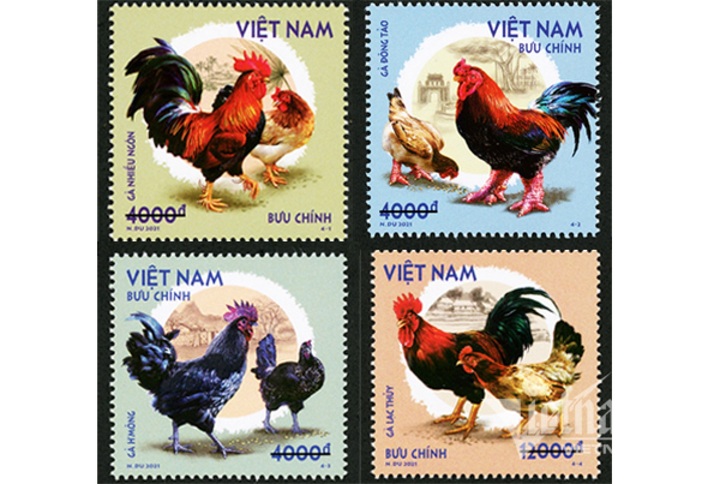 Newly issued stamps to feature native Vietnamese chickens - 1