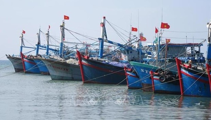 Vietnam makes continuous efforts to fight IUU fishing - 1 Vietnam makes continuous efforts to fight IUU fishing - 1