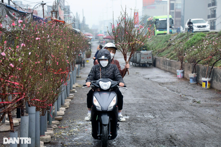 Early peach blossoms on Hanoi streets - 8
