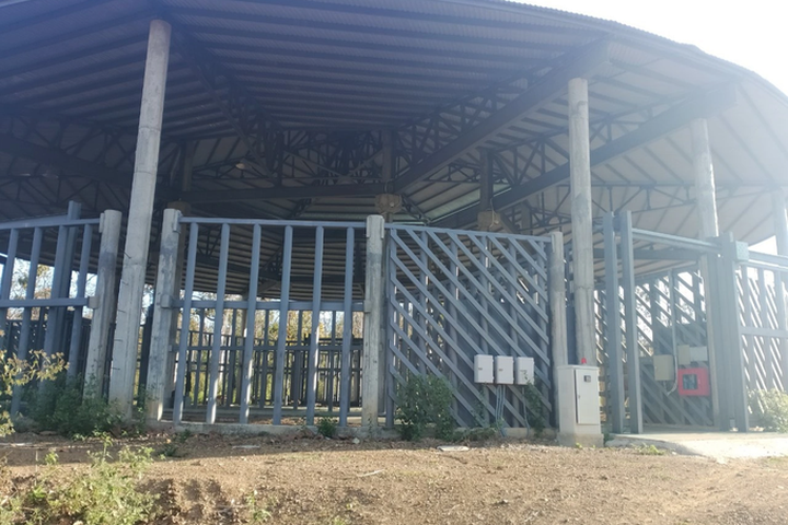 Wild elephants attack Dak Lak conservation centre - 1