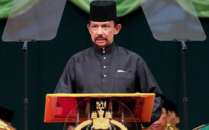 Sultan of Brunei to pay State visit to Vietnam - 1